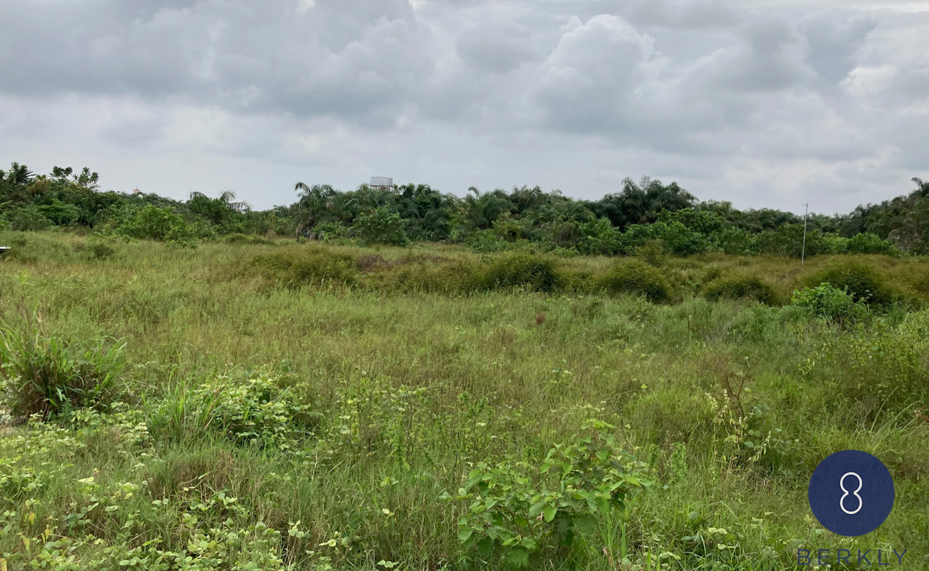 2 Hectares of land (1)